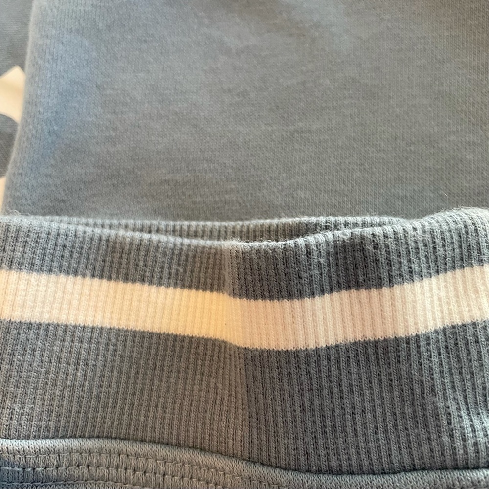Adidas Active Icons Cropped Slate Blue Hoodie - Picture 8 of 11